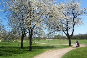 Golfbaan Landgoed Welderen