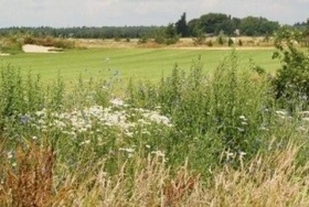 Golfclub De Heelsumse