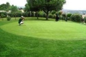Green Paddock
