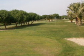 Greenlands