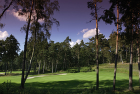 Hamburger Golf-Club e.V. Falkenstein