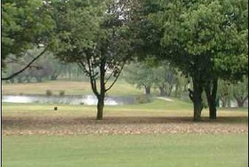 Kempton Park Golf Club