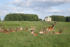 Københavns Golf Klub