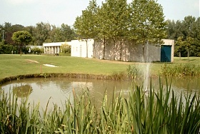 Krokkebaas - Buggenhout