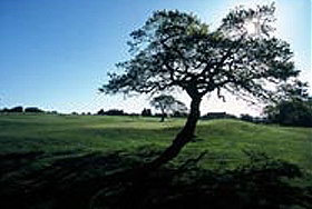 Leeds Golf Centre