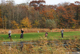 Leeuwarder Golfclub De Groene Ster