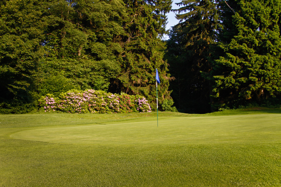 Mittelrheinischer Bad Ems e.V., Bad Ems Albrecht Golf Guide