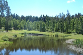 Hole number 3. a very nice par 3 over water. Mölndals Golfklubb