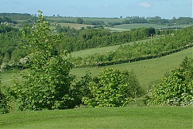 Naunton Downs Golf Club