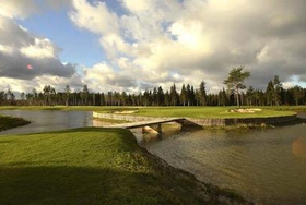 Niitvälja Golf Course
