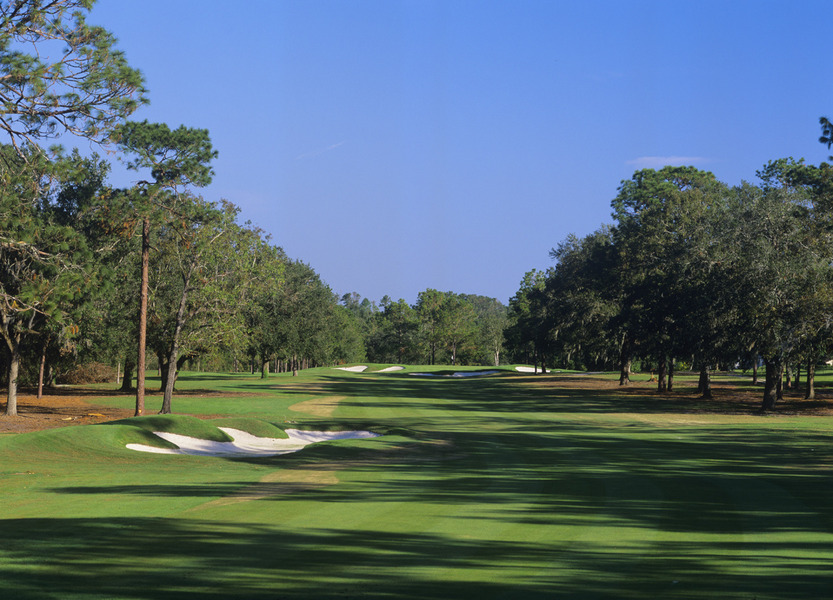Ocala National Golf Club, Ocala, FL Albrecht Golf Guide