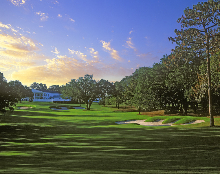 Ocala National Golf Club, Ocala, FL Albrecht Golf Guide