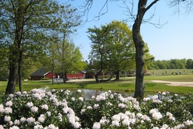Odder Golfklub