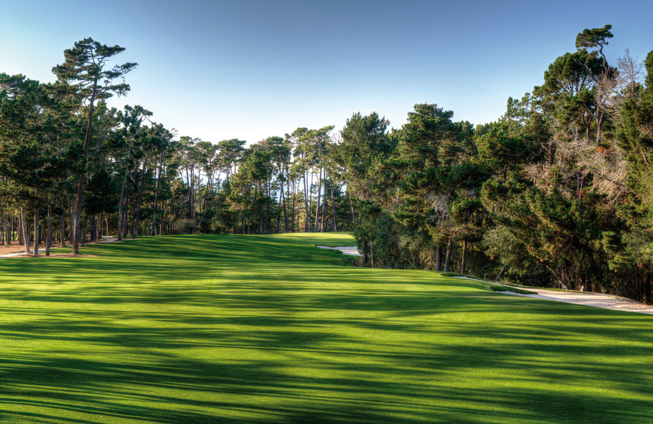 Poppy Hills Golf Course, Pebble Beach, CA Albrecht Golf Guide