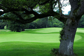 Rathsallagh Golf Club
