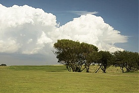 Romney Warren Golf Club