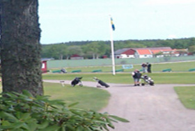 Skogaby Golfklubb