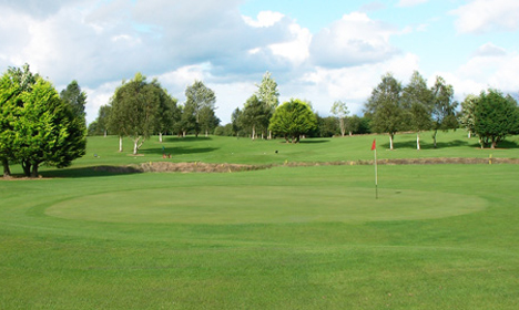 The 9th green
