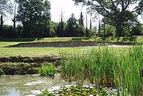 Sturminster Marshall Golf Club