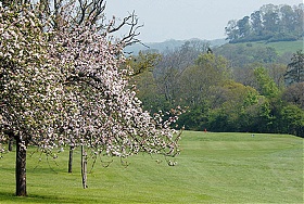 Teign Valley Golf Club