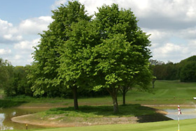 Unigolf Bussloo