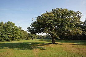 Wimbledon Common Golf Club