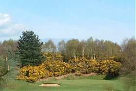 Woodbridge Golf Club