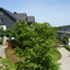 Resort