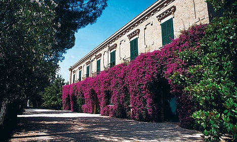 Azienda Agricola San Teodoro Nuovo