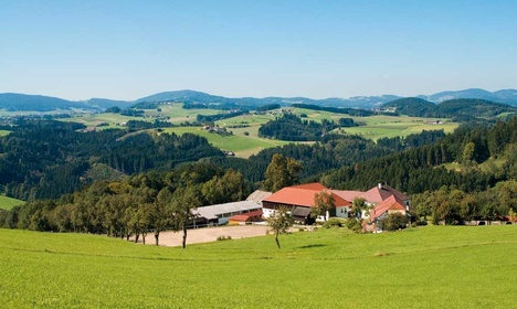 Golf- und Landhotel Kleebauer