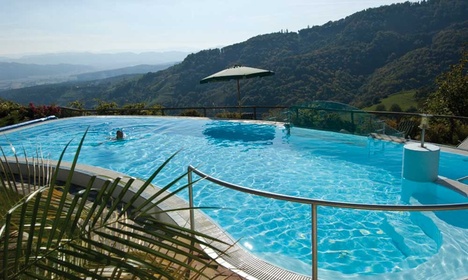 Wein- und Vitalhotel Weinhof Kappel