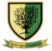 Black Bush Golf Club (Logo)