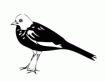 Ilfracombe Golf Club (Logo)