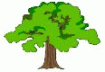Charnwood Forest Golf Club (Logo)