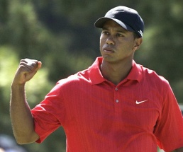 Woods schlägt Cink im Finale der Matchplay-WM