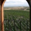 panorama view on rioja's wineyards