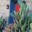 House Mexican Style in Tucson