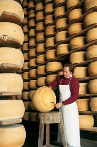 Emilia Romagna: Die Heimat des Parmesan Käse Emilia Romagna: Die Heimat des Parmesan Käse