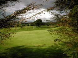 Alston Moor Golf Club