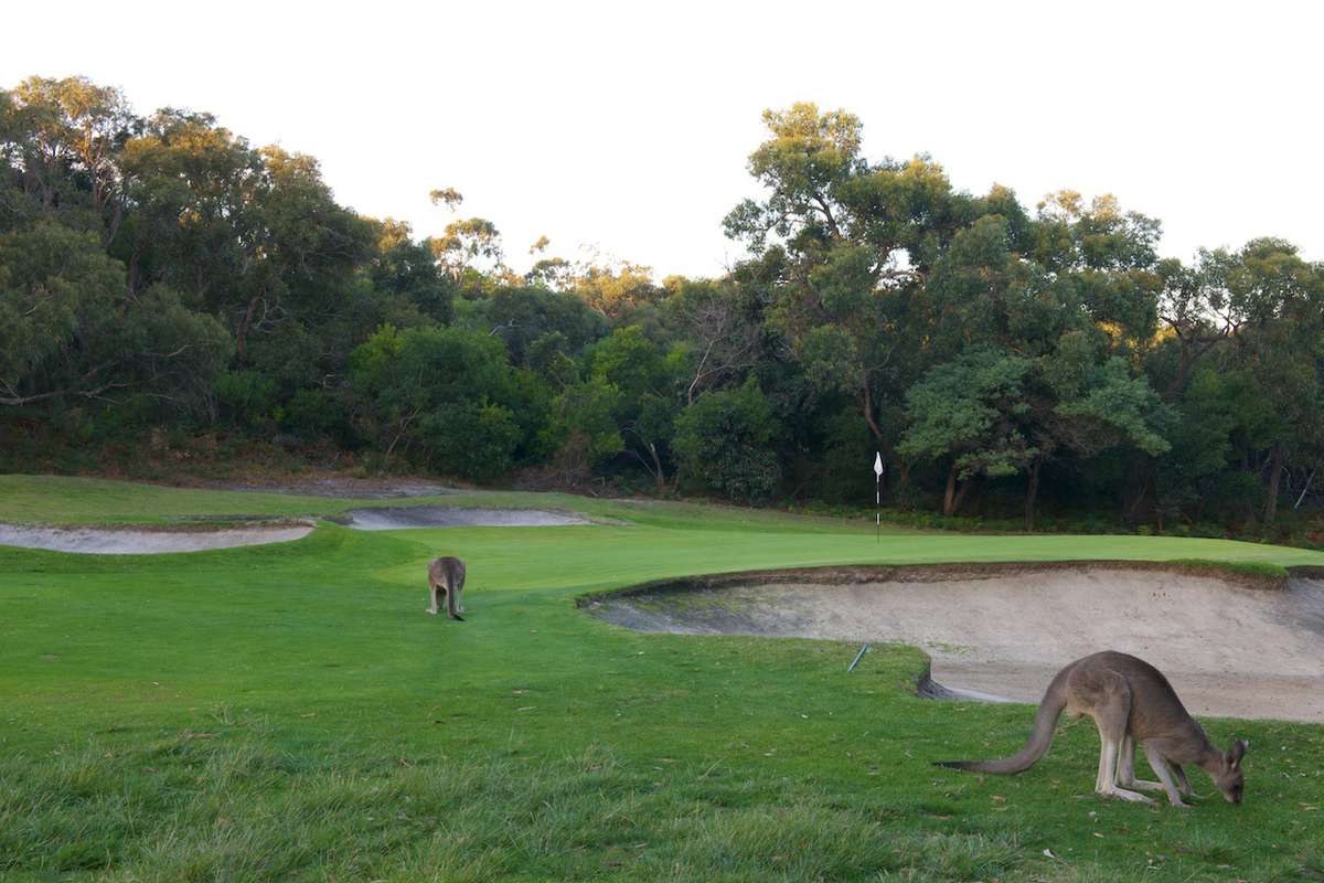 3rd Hole Par 3