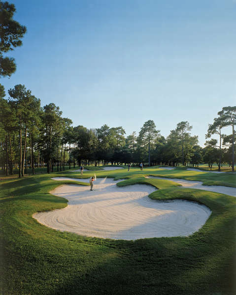 Arcadian Shores Golf Club