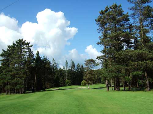 Athenry Golf Club