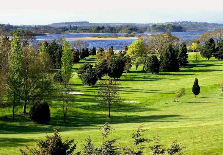 Bird's view of the course