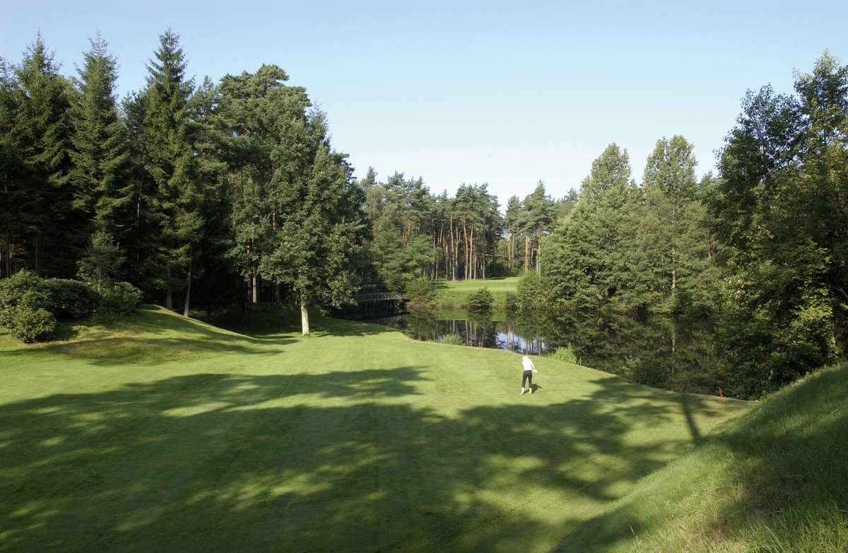 Forest Pines Course Hole 12