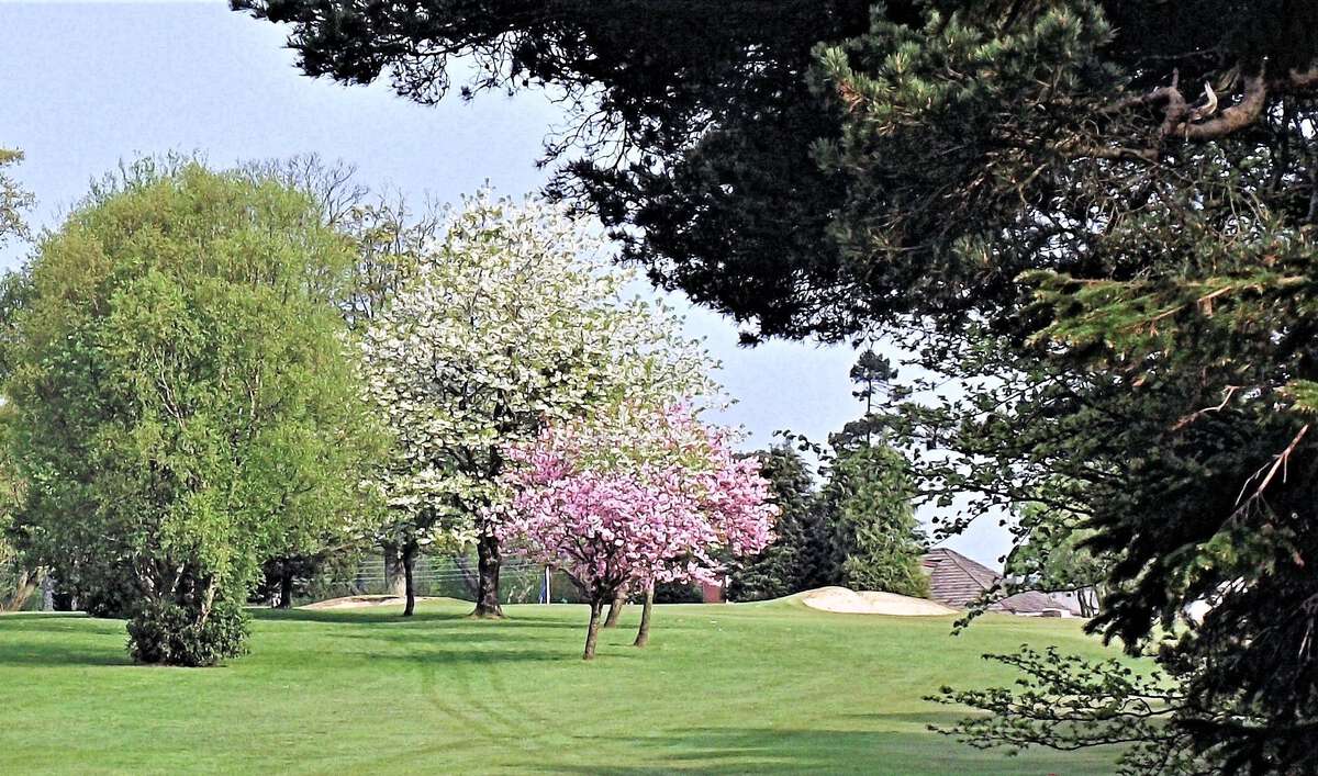 Ballochmyle Golf Club