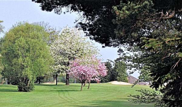 Ballochmyle Golf Club