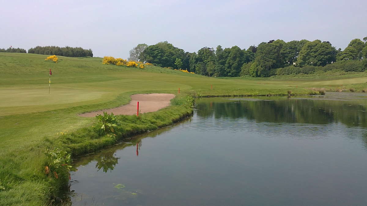 10th Hole Green