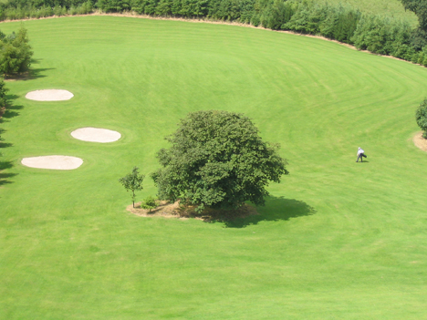 Bunkers at the 6th hole