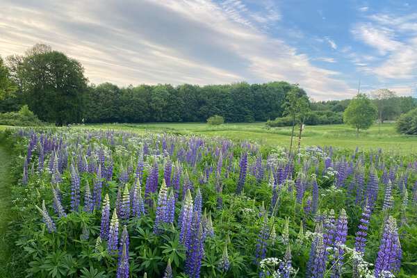 Bielefelder Golfclub e.V.