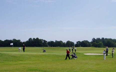 Binga Golf P&P